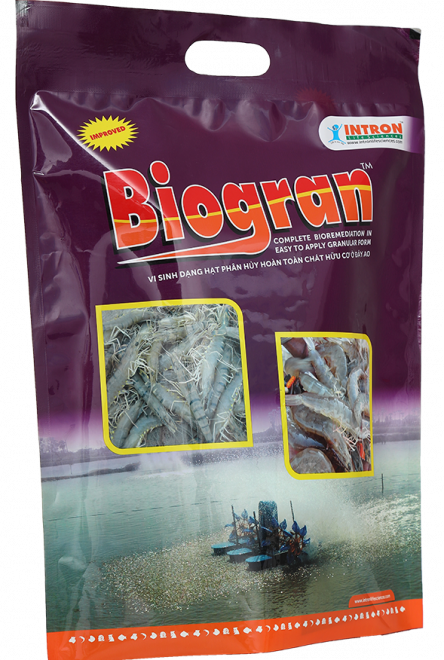 biogran
